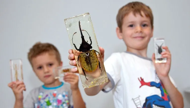 natural history museum free fun for kids