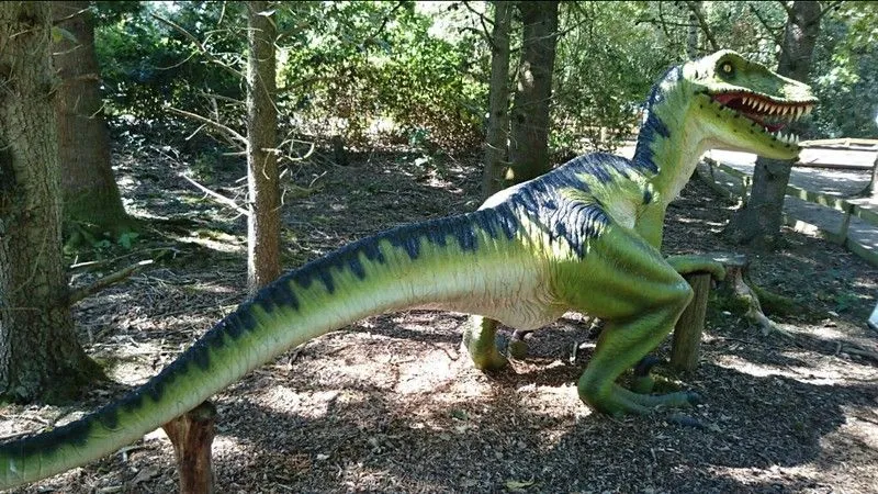 Who wouldn't want to see dinosaurs at wellington country park, one of the best days out in reading with kids
