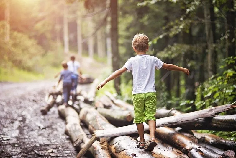 Family on a walk in the woods surrounded by green trees