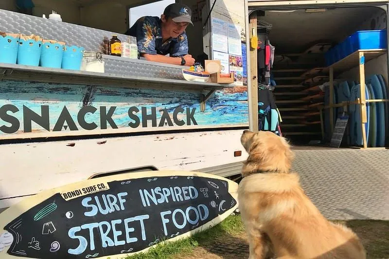 A Golden Retriever at the Ocean Pitch Campsite Snack Shack in Devon, one of our wonderful family holidays in Devon