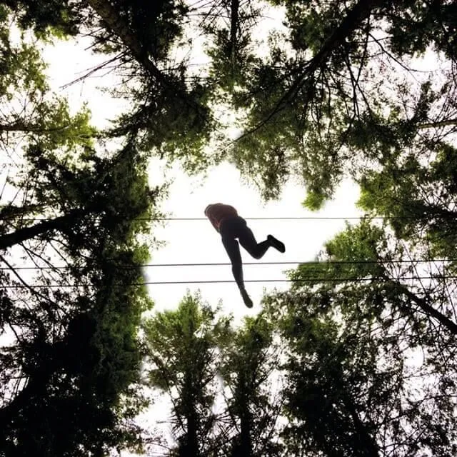 below shot of person on high ropes course between trees