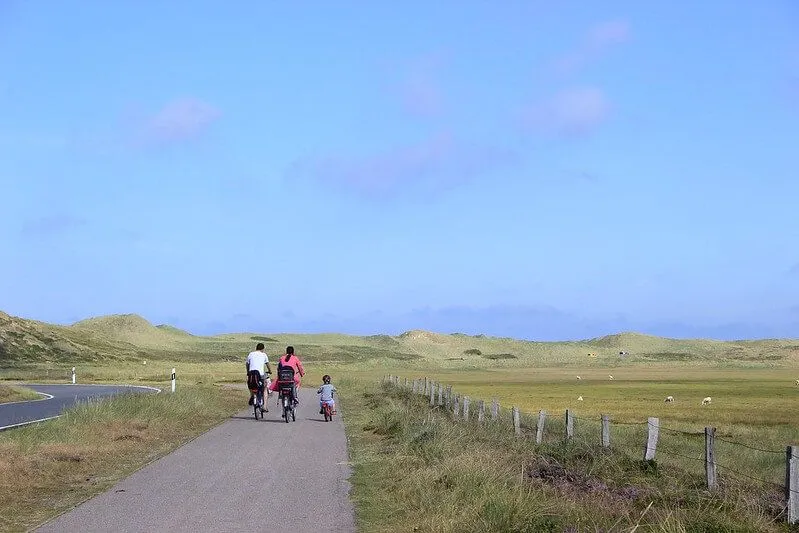 family cycling in the distance on country path