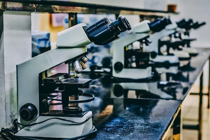 Microscopes lined up on the worktop in a science lab.